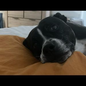 Meet your Posher, Tara